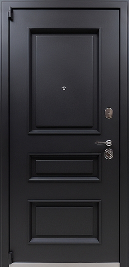 Дверь с черным МДФ для квартиры