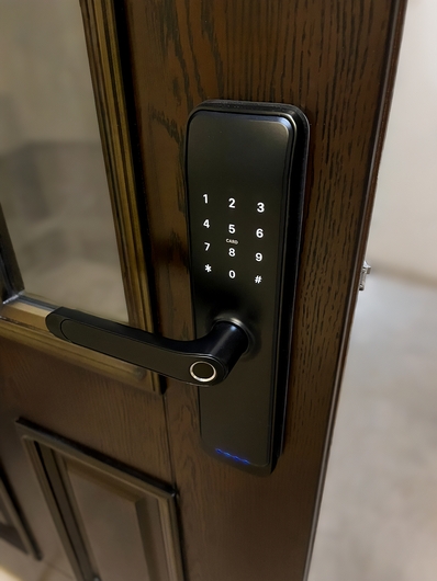 Металлическая остекленная дверь с накладными багетами МДФ